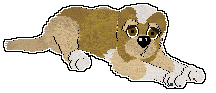 Rufus2-250820233333-0.png