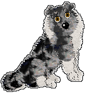Rufus3-250820195140-0.png