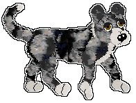 Rufus3-250820233318-0.png