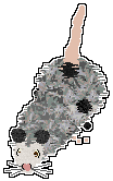 Scamp-250901164335-0.png