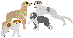 05524990.png