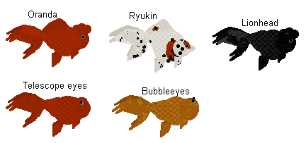 1goldshapes.gif