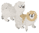 AED.png