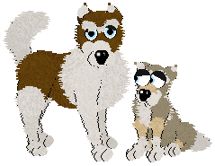 P4P_Husky_Var.png