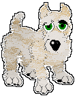 ScottieFold.png