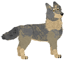 WOLF-POSE.png