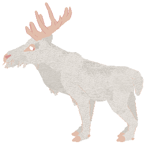 fini.png