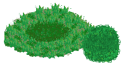 nest.gif