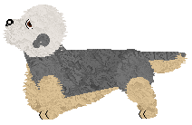 posed.png