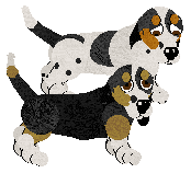 pupp.png