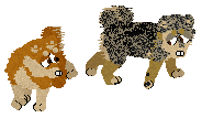 puppps.png