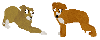 pupps.png