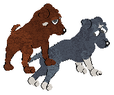 pups.png