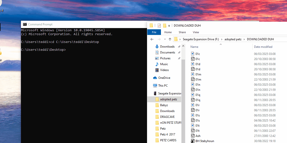 Running PetzByte from Command Prompt but Pet File is in a different location