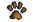 BPC paw