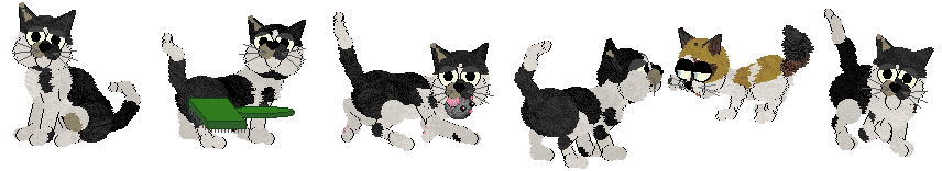 Bronze Pet Citizen dog task examples