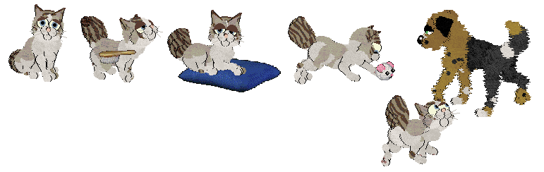 Foundation Baby Citizen dog task examples