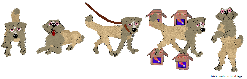 Silver Pet Citizen cat task examples