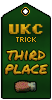 2nd ribbon