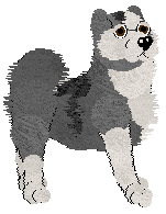 Alaskan Malamute - Abnormality V1