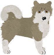 Alaskan Malamute - Legend