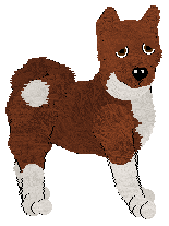 American Akita - Abnormality V1