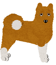 American Akita - Unknown