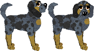 American Leopard Hound - Celia @ Filthy Hippie