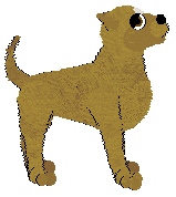 American Staffordshire Terrier