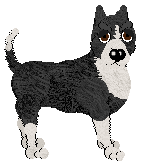 American Staffordshire Terrier - Unknown