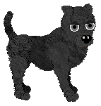 American Staffordshire Terrier - Skyeblue Kennelz