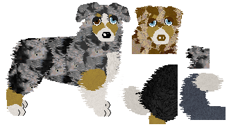 Australian Shepherd - Finishing Touch V3