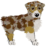 Australian Shepherd - Finishing Touch V1