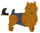 Australian Terrier - PDH's Resources