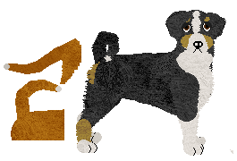 Austrian Pinscher - Unknown