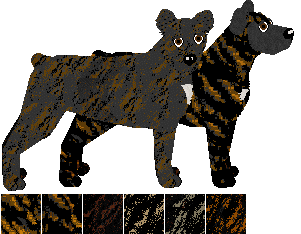 Azores Cattle Dog - Abnormality