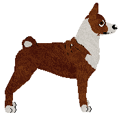 Basenji - Dragonstone V2