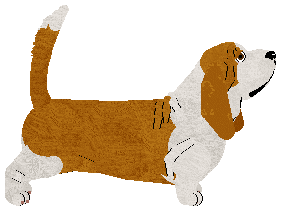 Basset Hound - Supernova