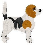 Beagle - Supernova V1