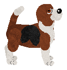 Beagle - Tikki