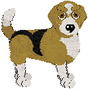 Beagle - Petz Showmania