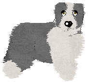 Bearded Collie - Faerie Barn Dance