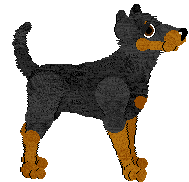 Beauceron - Amenity/Rosestone