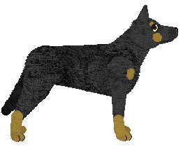 Beauceron - Supernova V1 (Updated)