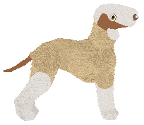Bedlington Terrier - FireRidge V2