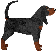 Black and Tan Coonhound - Unknown