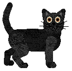 Bombay - Pirate Cove Catteries V2