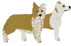 Border Collie - PDH's Resources V4