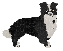 Border Collie - PDH's Resources V3