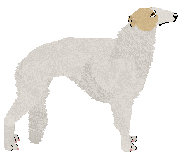 Borzoi - Abnormality (Modified)